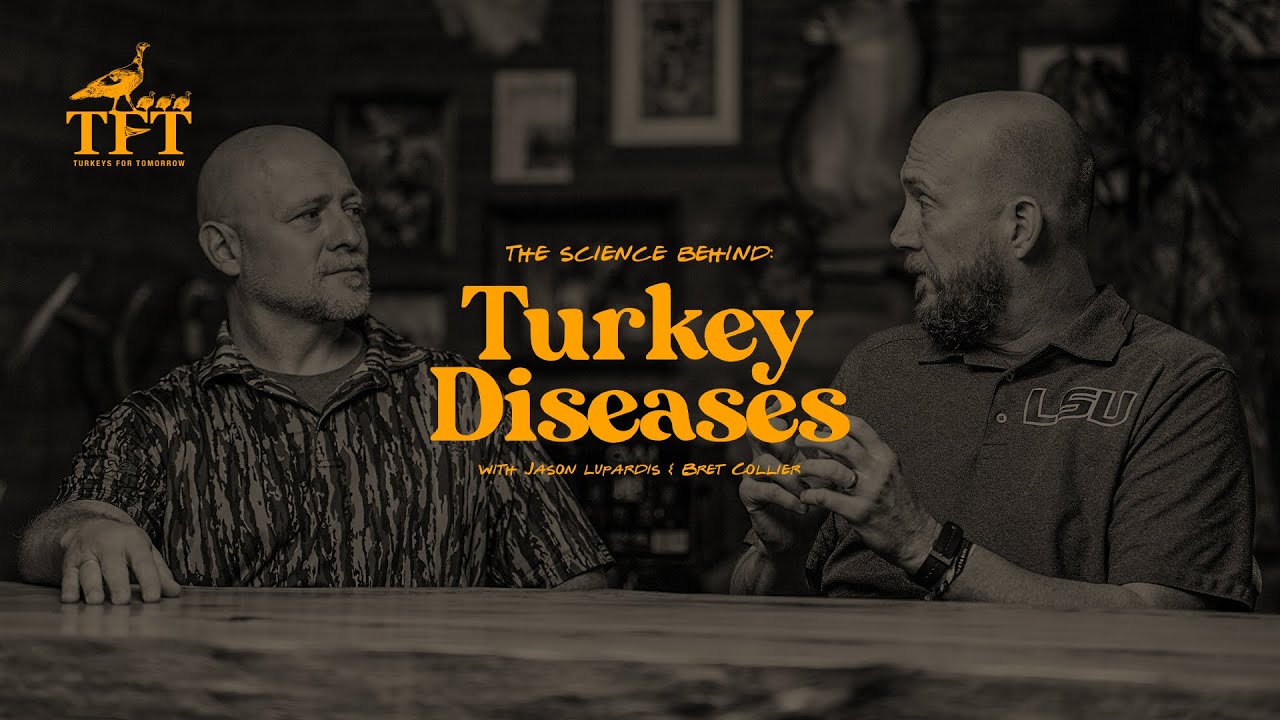 The Science Behind Turkey Diseases (with Turkeys for Tomorrow) | The Advantage