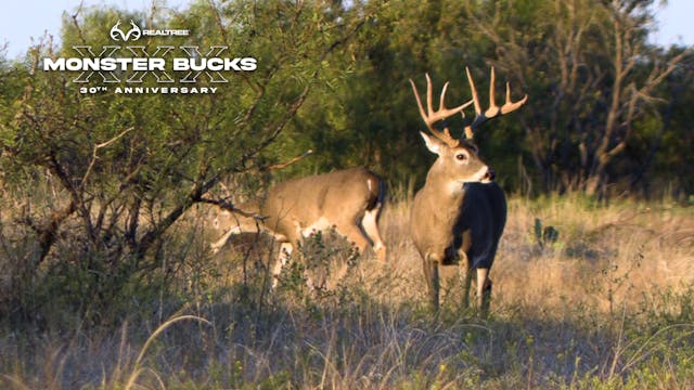 David Blanton's Massive Texas 10pt | Monster Bucks XXX