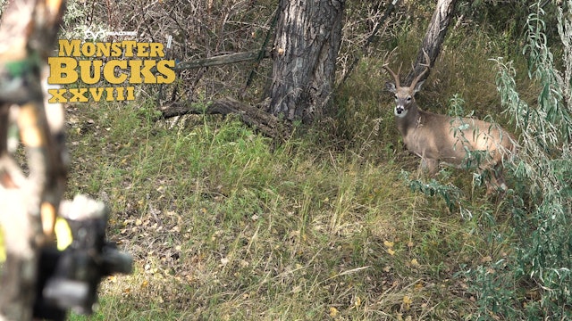 Phillip Vanderpool's Super-Tall Montana Whitetail | Realtree's Monster Bucks
