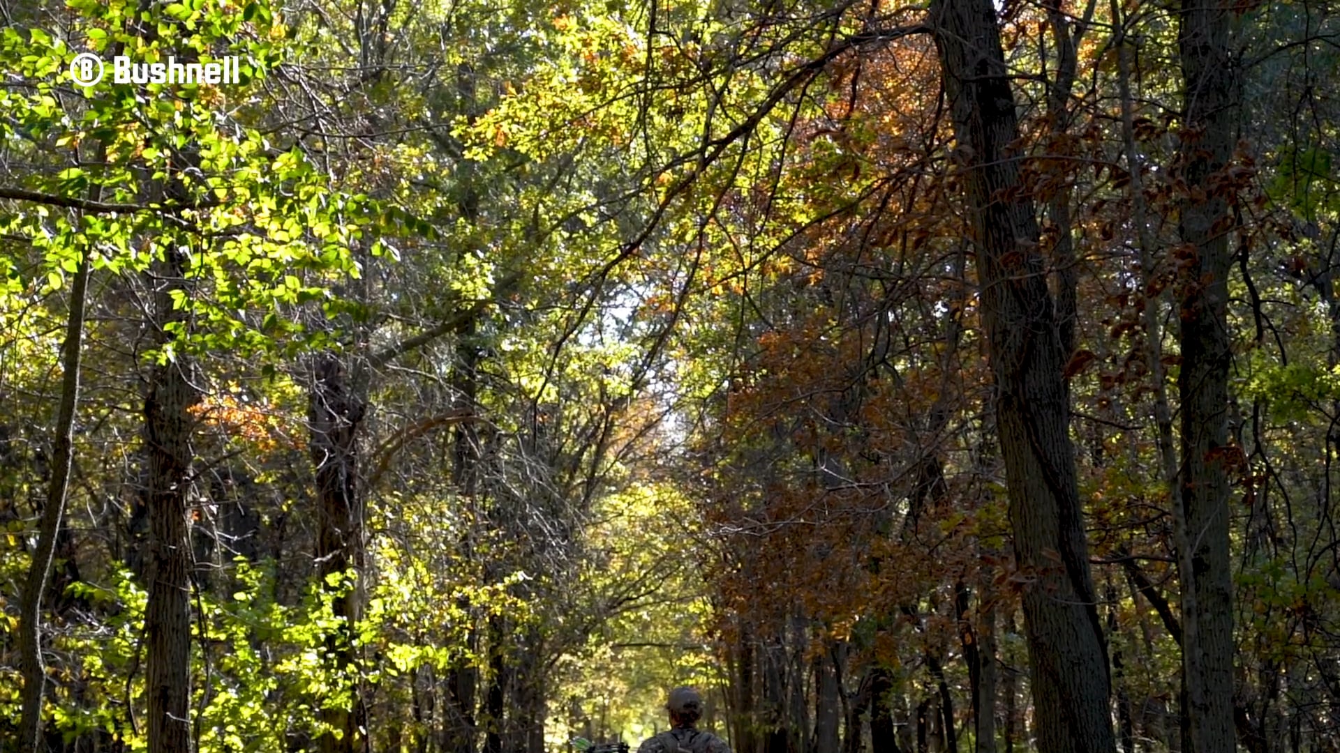 Drake's Blog: October Doe Days | Bowhunting in Iowa