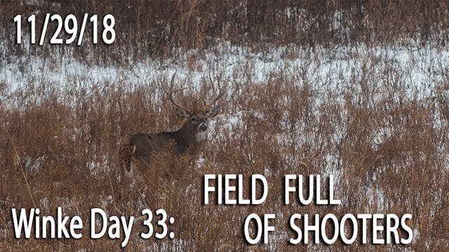 Winke Day 33: Field Full Of Shooters