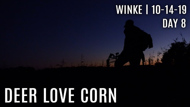 Winke Day 8: Deer Love Corn, Corn Plot Success