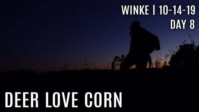 Winke Day 8: Deer Love Corn, Corn Plo...