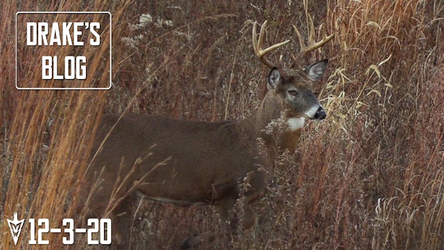 Drake's Blog: Three Days to Get It Done | Late-Season Deer Hunting in Iowa