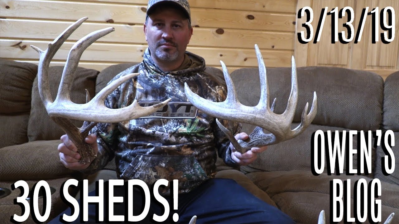 Owen's Blog: 30 Sheds and a Deadhead