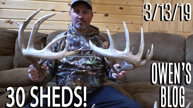 Owen's Blog: 30 Sheds and a Deadhead