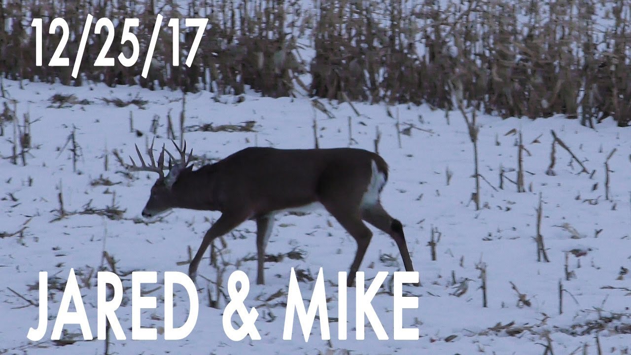 Jared's Blog: A Buck Called "66"