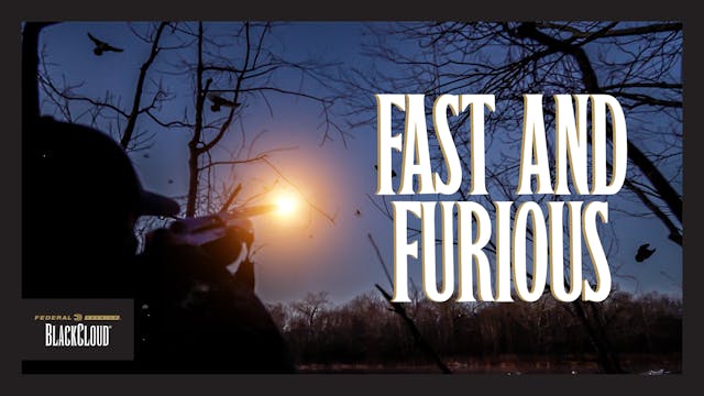 70 Ducks Down in the Timber! | Epic T...