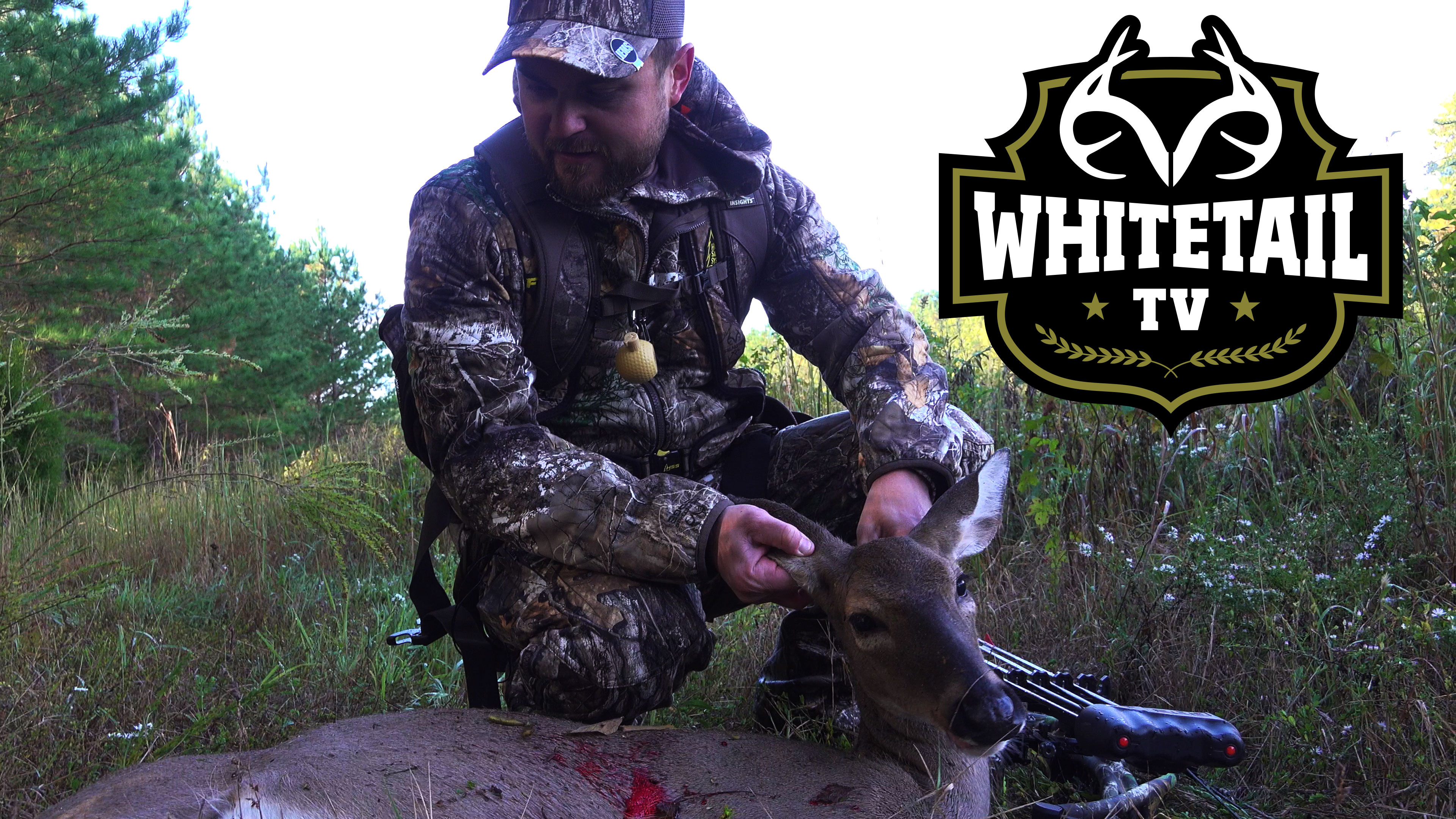 Tennessee Doe Hunt, Timber Improvement at Realtree Farms