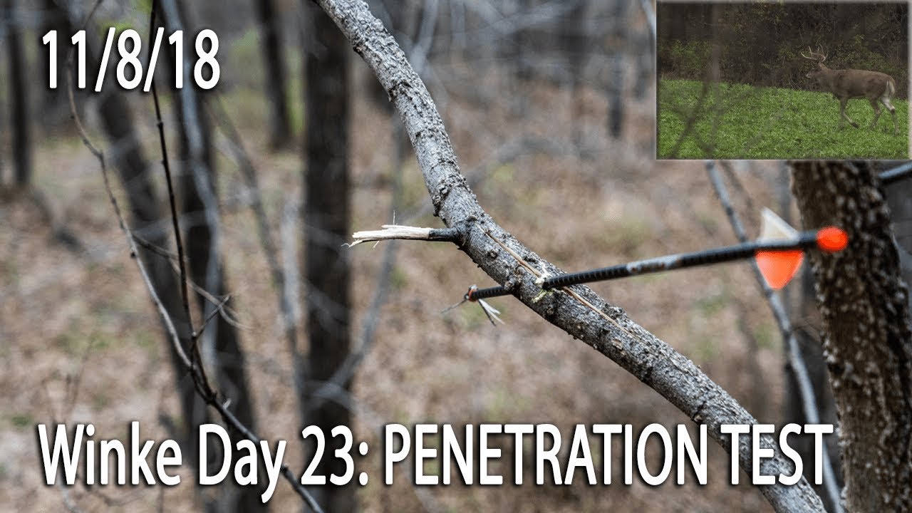 Winke Day 23: Penetration Test