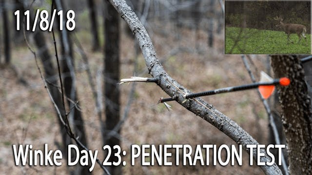 Winke Day 23: Penetration Test