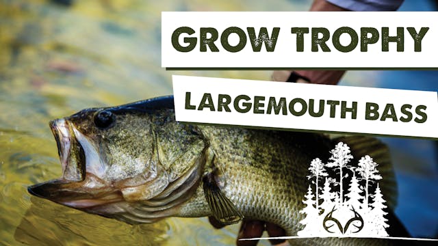 Small Lake Management Tips for Trophy...