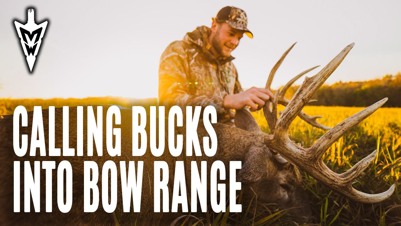 11920 Calling Bucks Into Bow Range PreRut Deer Hunting Midwest