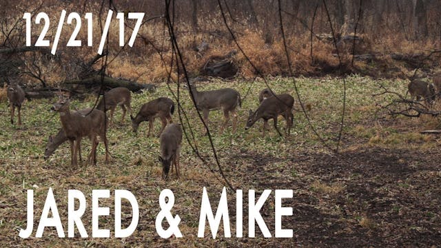 Jared's Blog: Small Plot, Tons of Deer