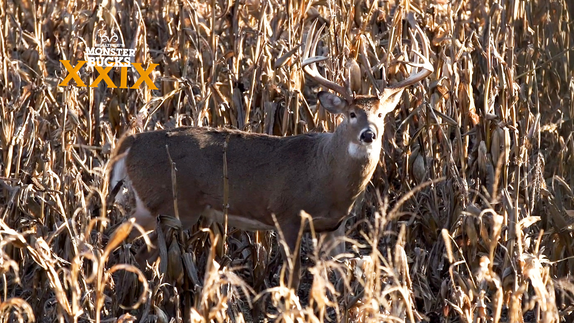 Tyler Jordan's Grigsby Giant | Monster Bucks 2021
