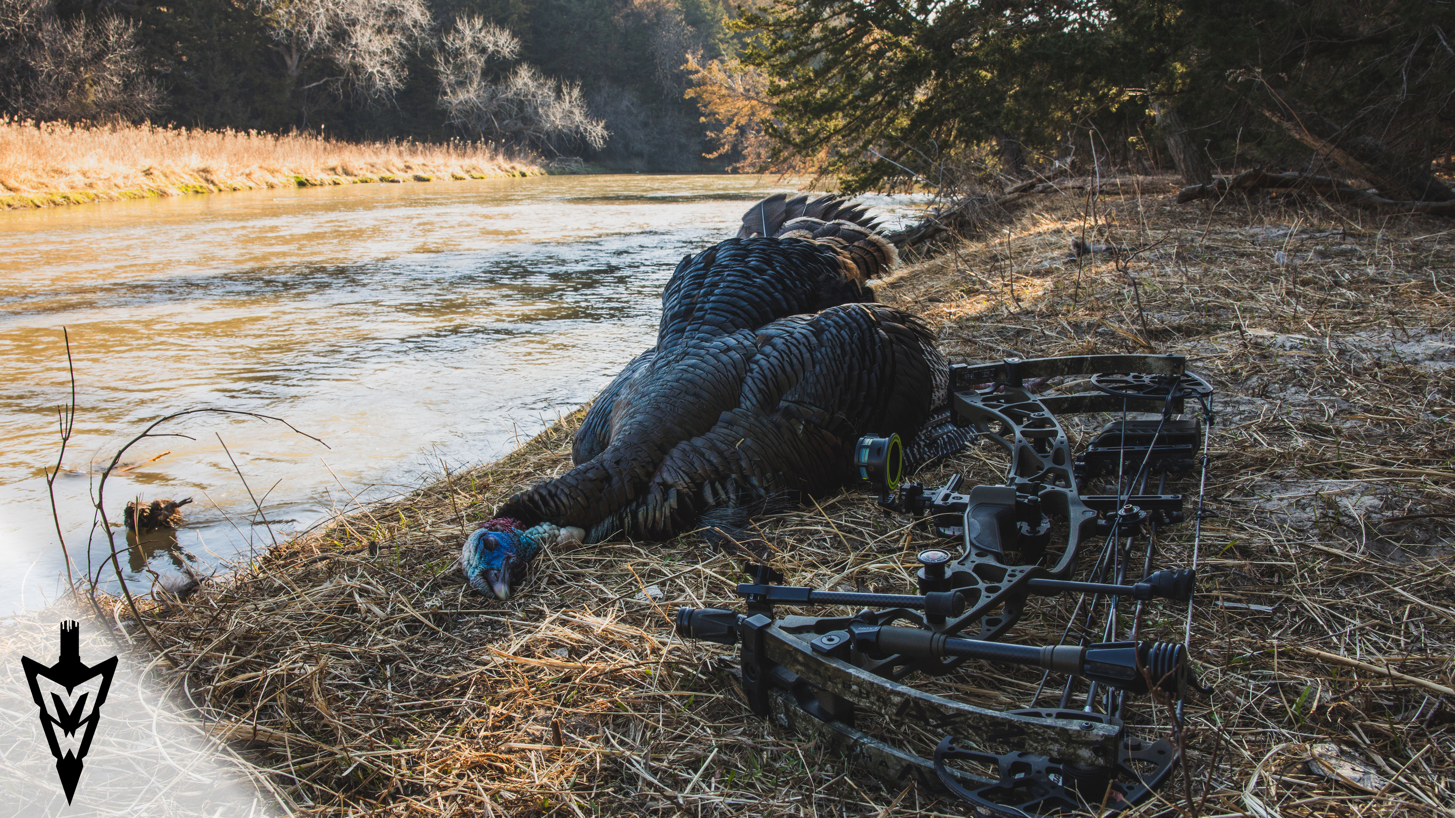Perfect Shot Turkey Hunting With The Bow, Epic Adventure In Nebraska