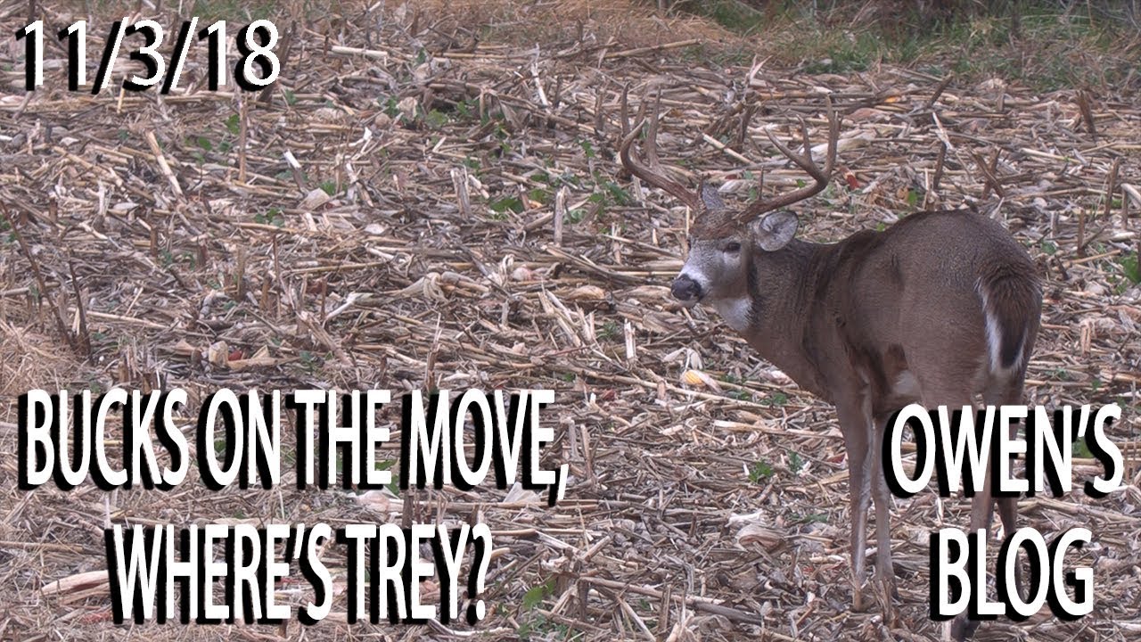 Owen's Blog: Early Rut Cruising