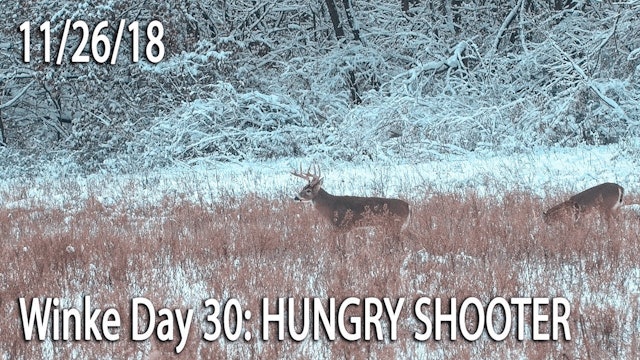 Winke Day 30: Hungry Shooter