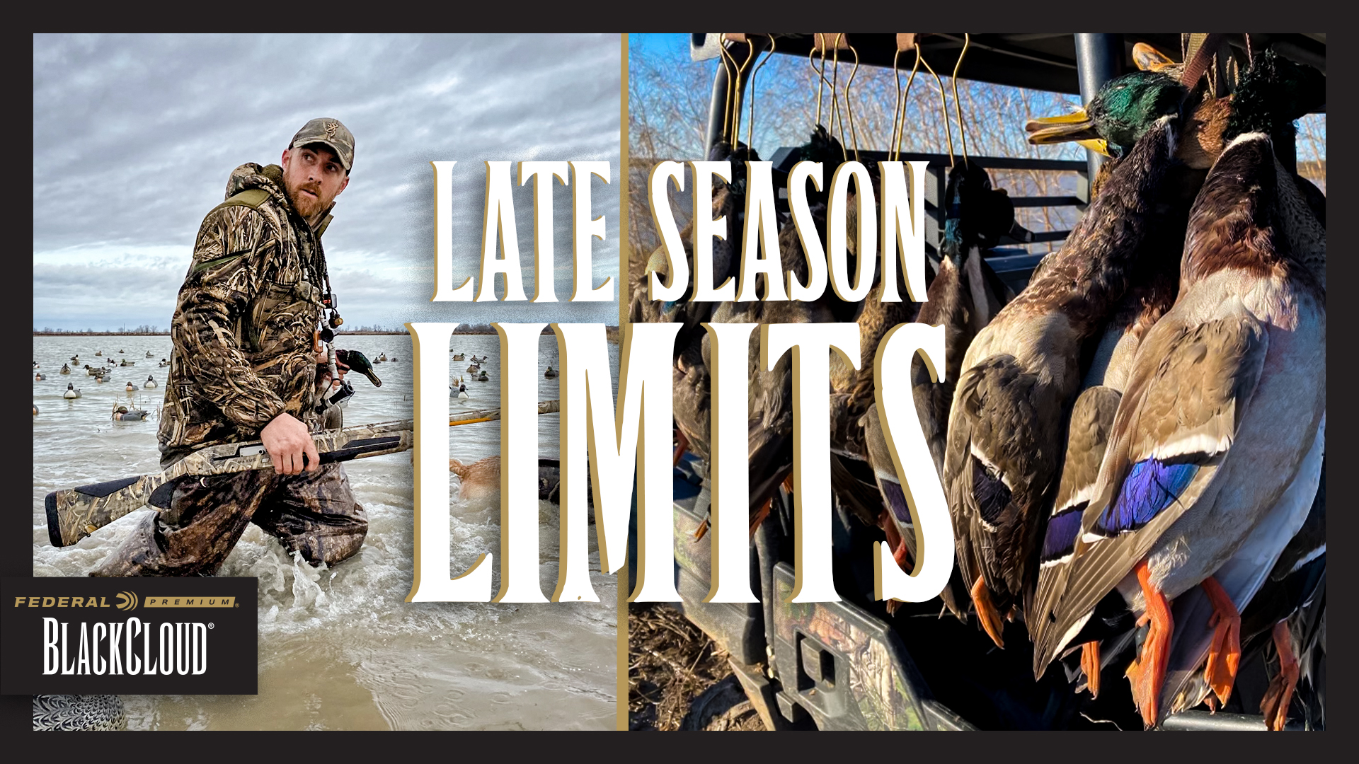 Late Season Duck Limits | Bustin' Beaks with Browning | Black Cloud