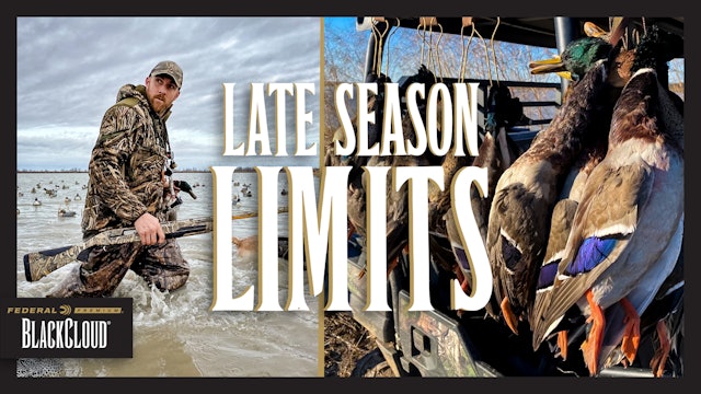 Late Season Duck Limits | Bustin' Beaks with Browning | Black Cloud