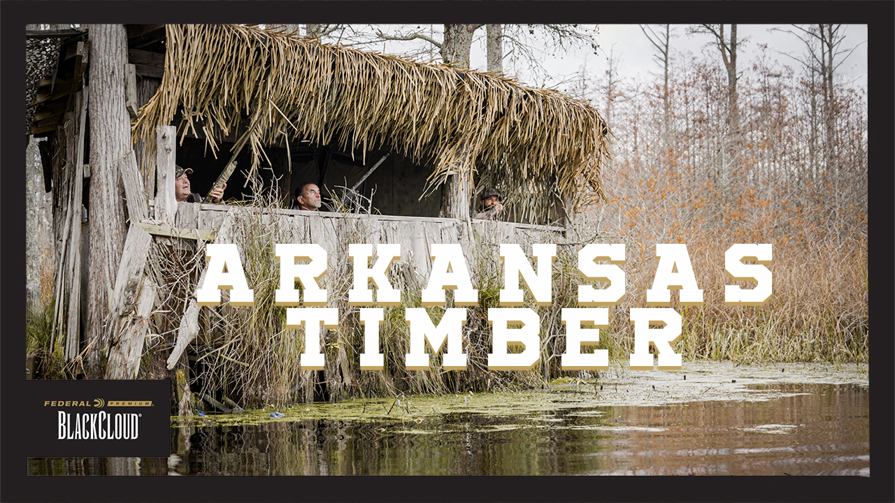 Quick Southern Timber Limit | Hunting with Old Friends | Black Cloud