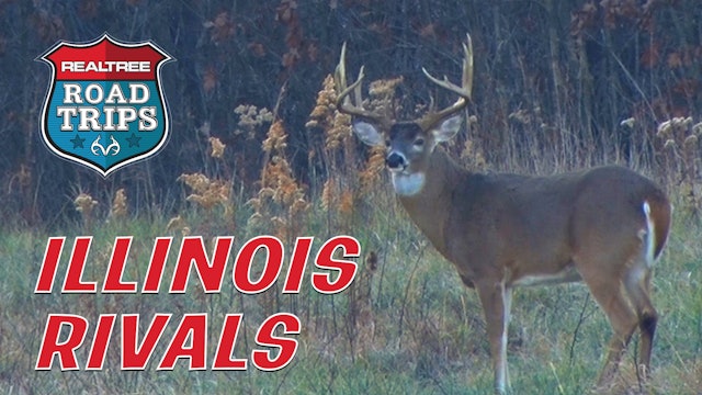 Dialing In on an Illinois Giant | Hunting Rutting Bucks | Realtree Road Trips