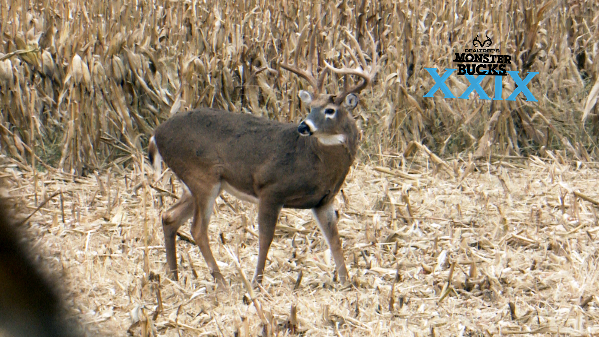 Don Kisky's Huge Iowa Whitetail | Monster Bucks 2021