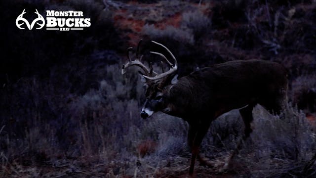 Daniel McVay's Rut Hunt | Monster Bucks XXXI