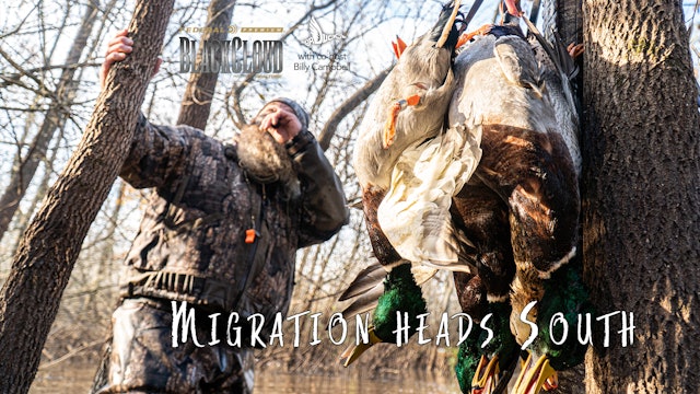 The Migration Moves South: Public Waterfowl Hunting | Black Cloud