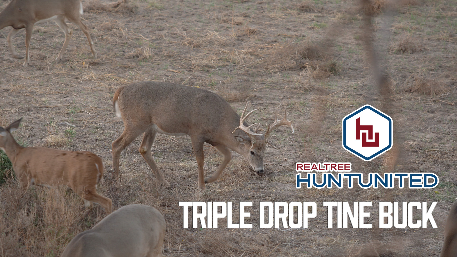 Triple-Drop-Tine Buck in Kansas | Hunting Huge Pre-Rut Whitetails | Hunt United