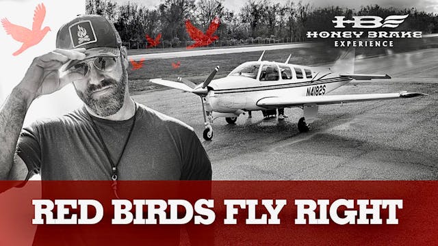 Red Birds Fly Right | Honey Brake