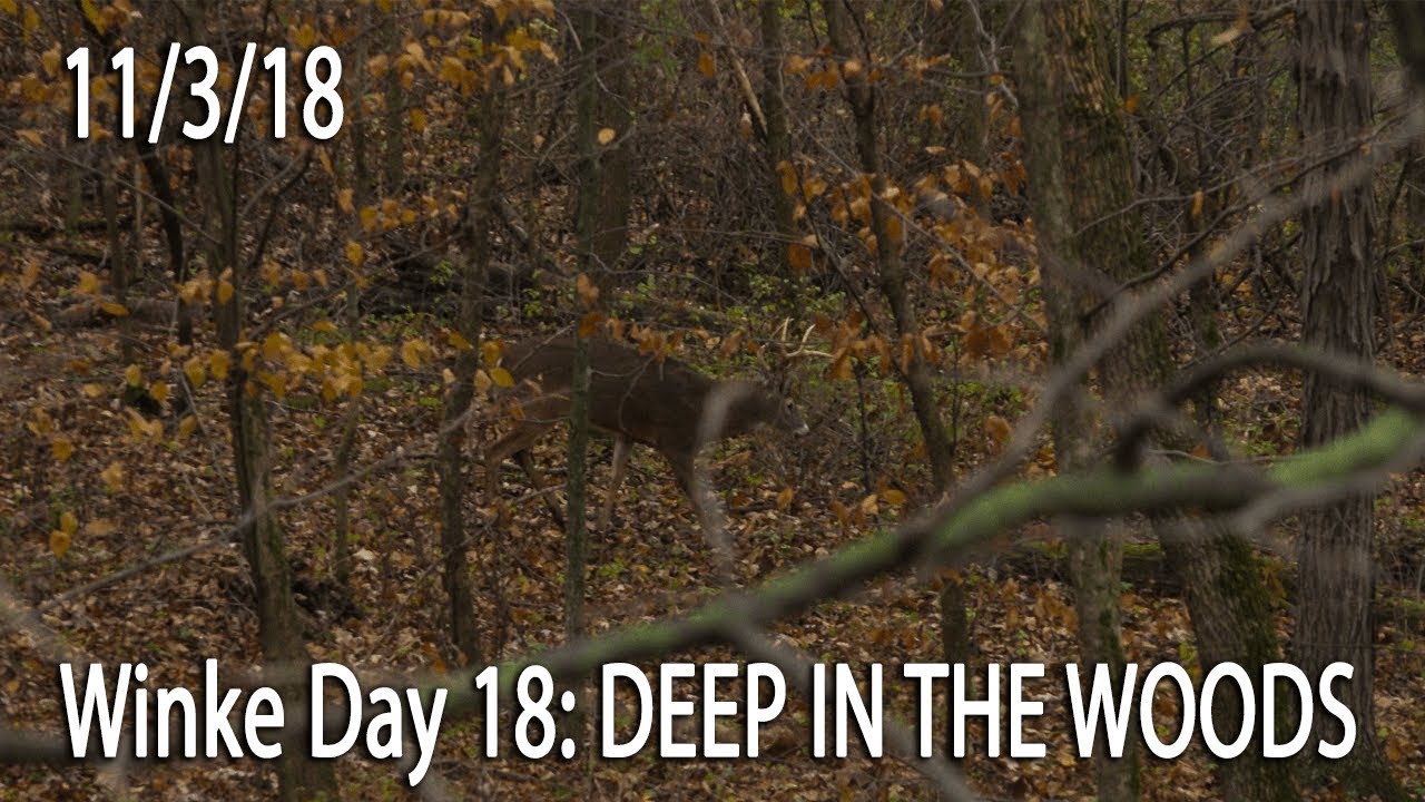 Winke Day 18: Deep In The Woods