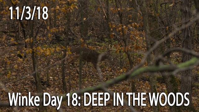 Winke Day 18: Deep In The Woods
