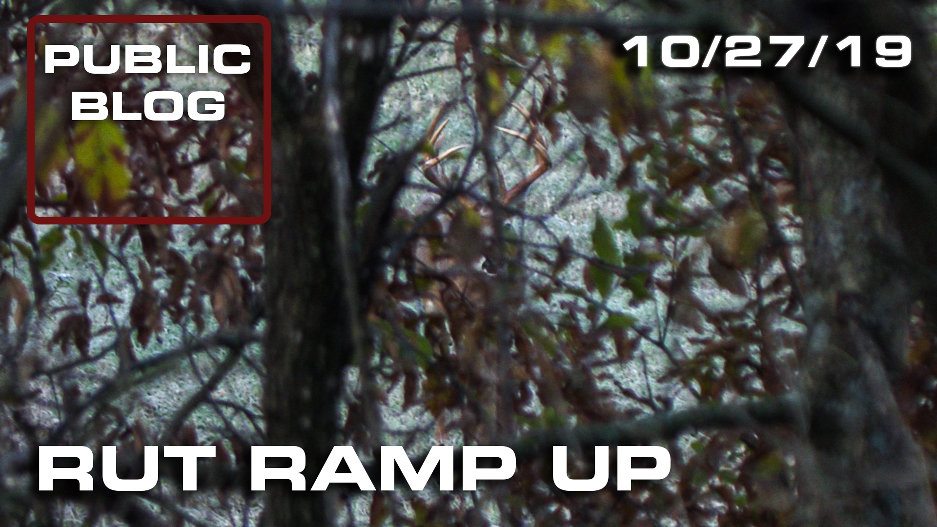 Public Land Blog | Rut Ramp Up 