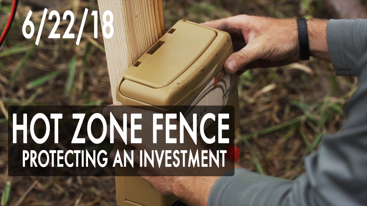 Jared's Blog: Protecting Food Plots