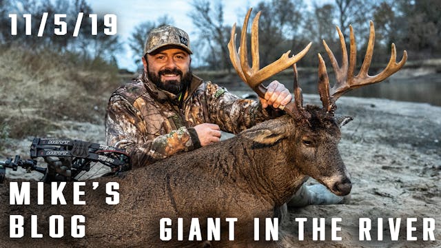 Mike's Blog: 200" Giant Dies In River