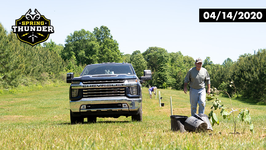 Turkeys and Chestnuts | Land Management for Wildlife | Realtree Spring Thunder