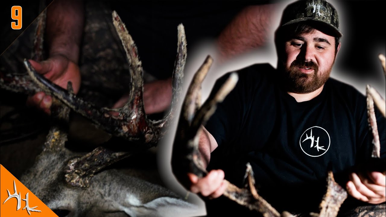 A Velvet Buck in Georgia | Cheeseburger's Bow Buck | Hunt Club