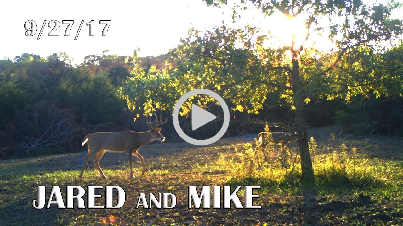 Jared's Blog: Staging Area Food Plots