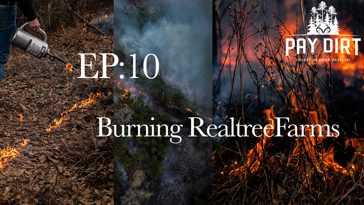 Burning Realtree Farms | Prescribed Fire and Controlled Burns 101 | Pay Dirt