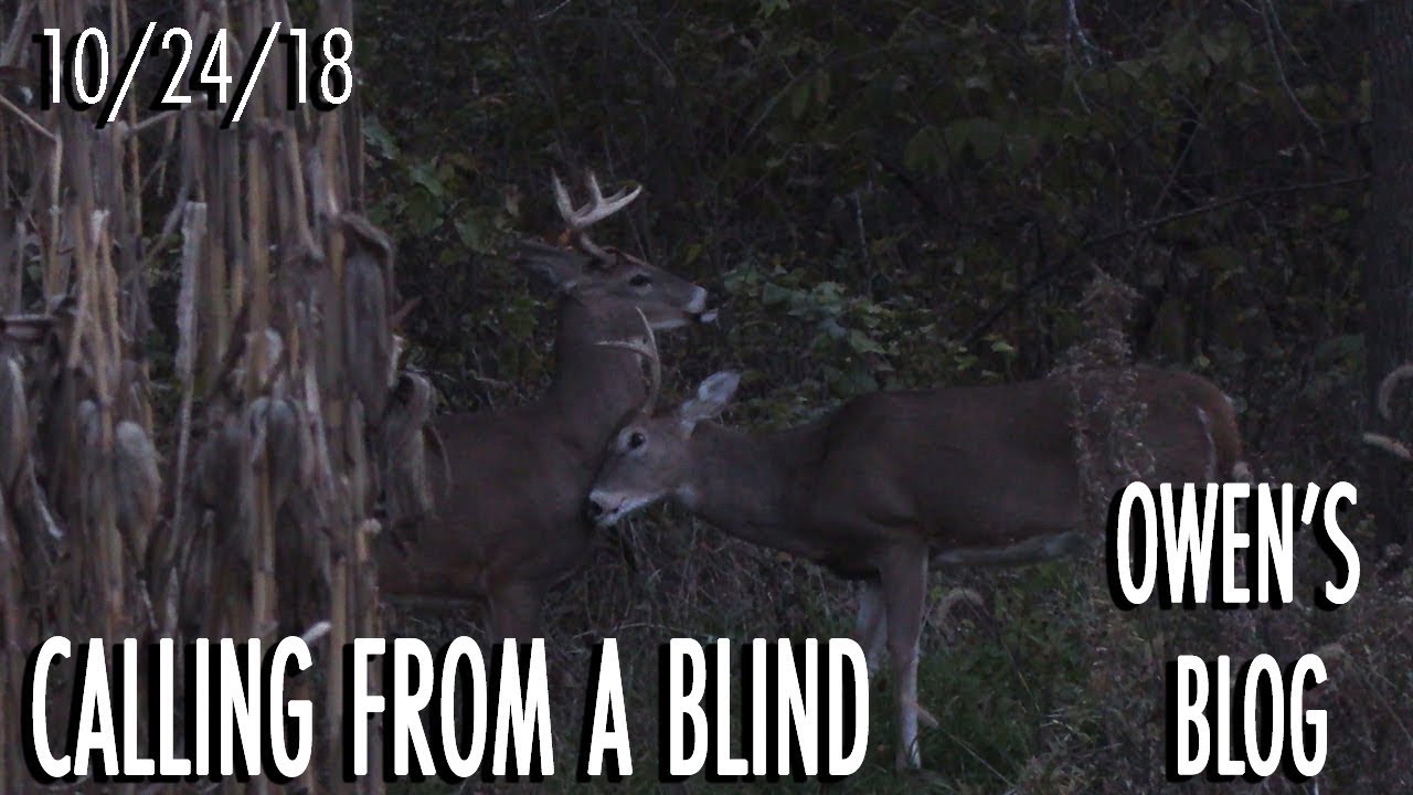 Owen's Blog: Calling From a Blind