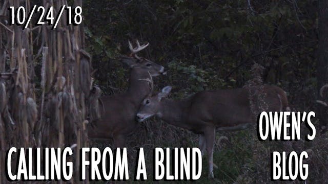 Owen's Blog: Calling From a Blind