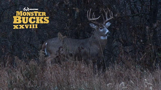 Blair Goins' Giant Illinois Deer | Realtree's Monster Bucks