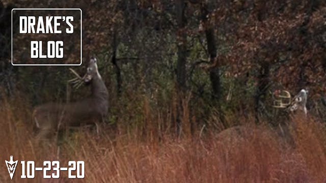 Drake's Blog: Bucks Hitting Scrapes |...