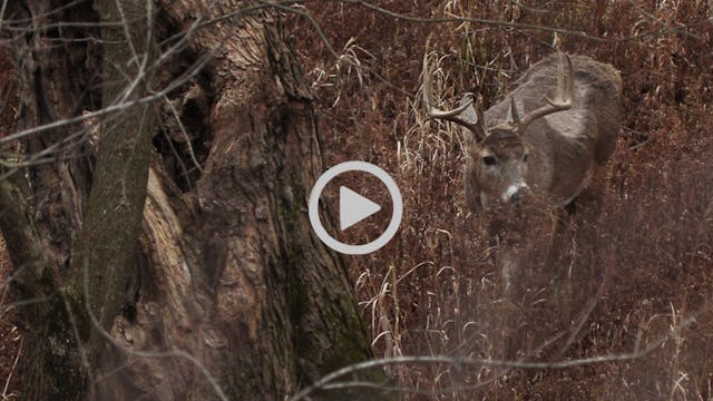 12-25-17: Late Season Without Food | ...