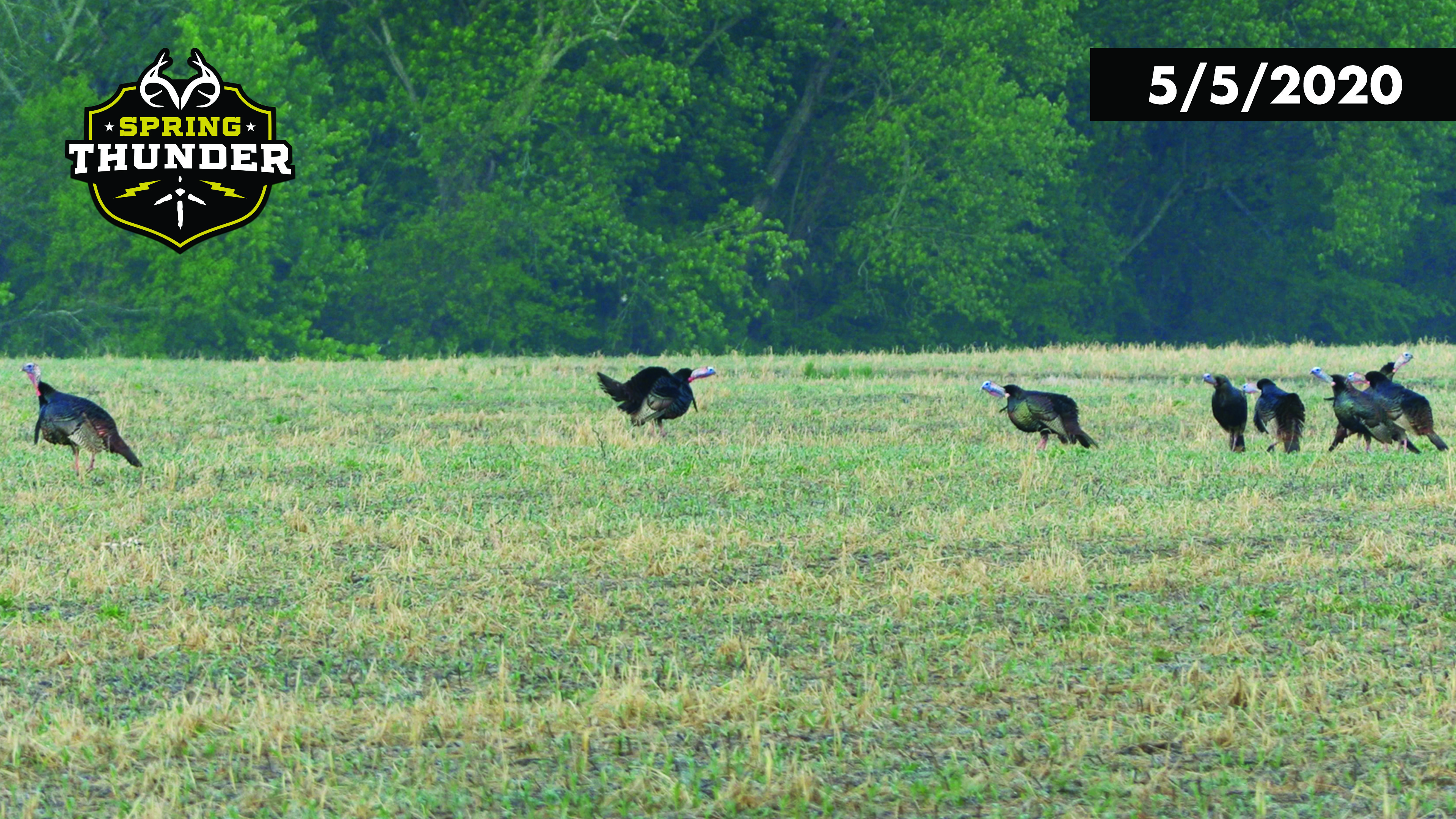 Country Music Star Tyler Farr Goes Turkey Hunting | Realtree Spring Thunder
