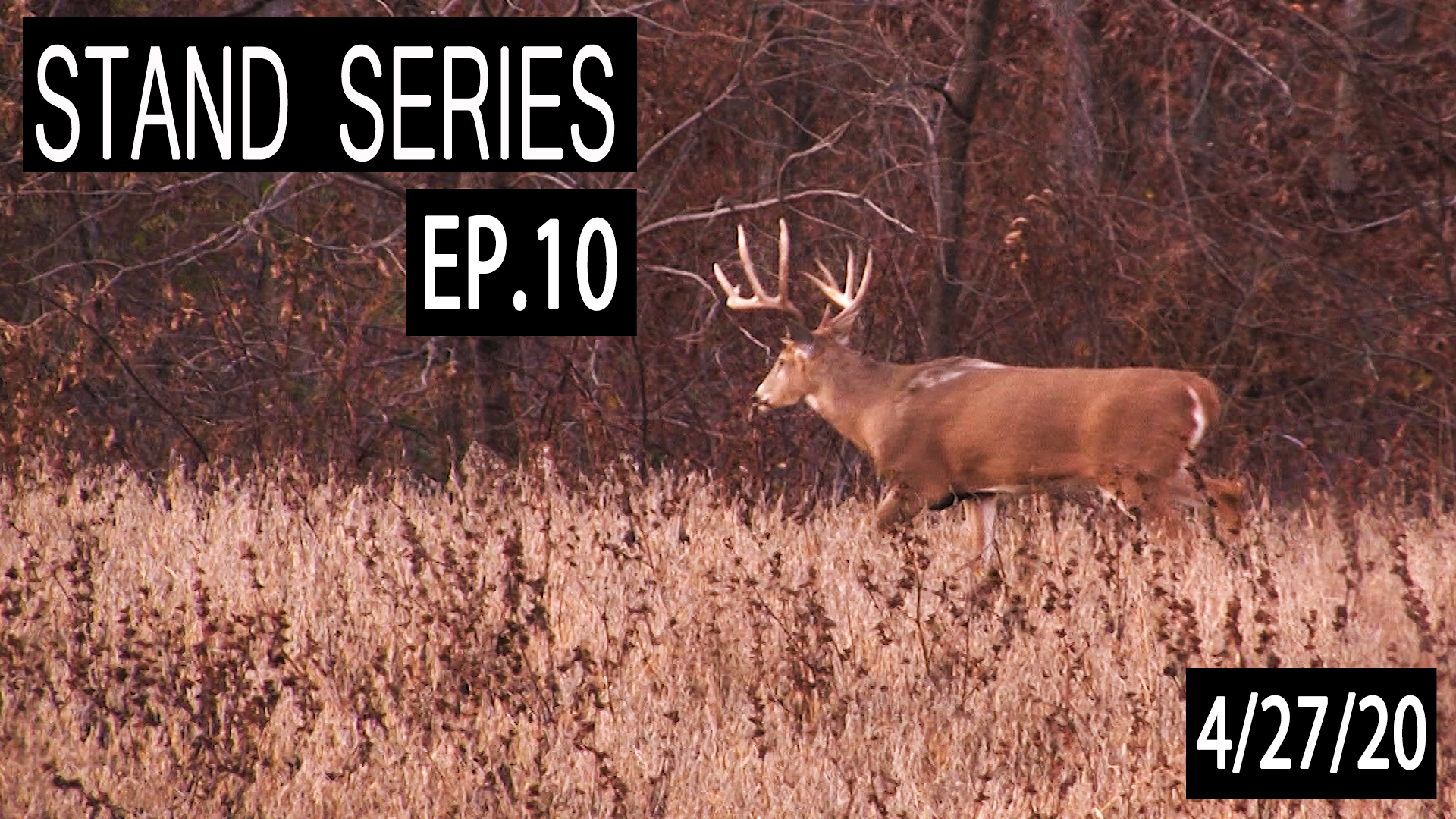 Pulling Stands Without Good Exit Routes | Bill Winke Treestand Location Series