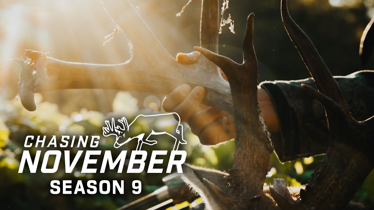Chasing November