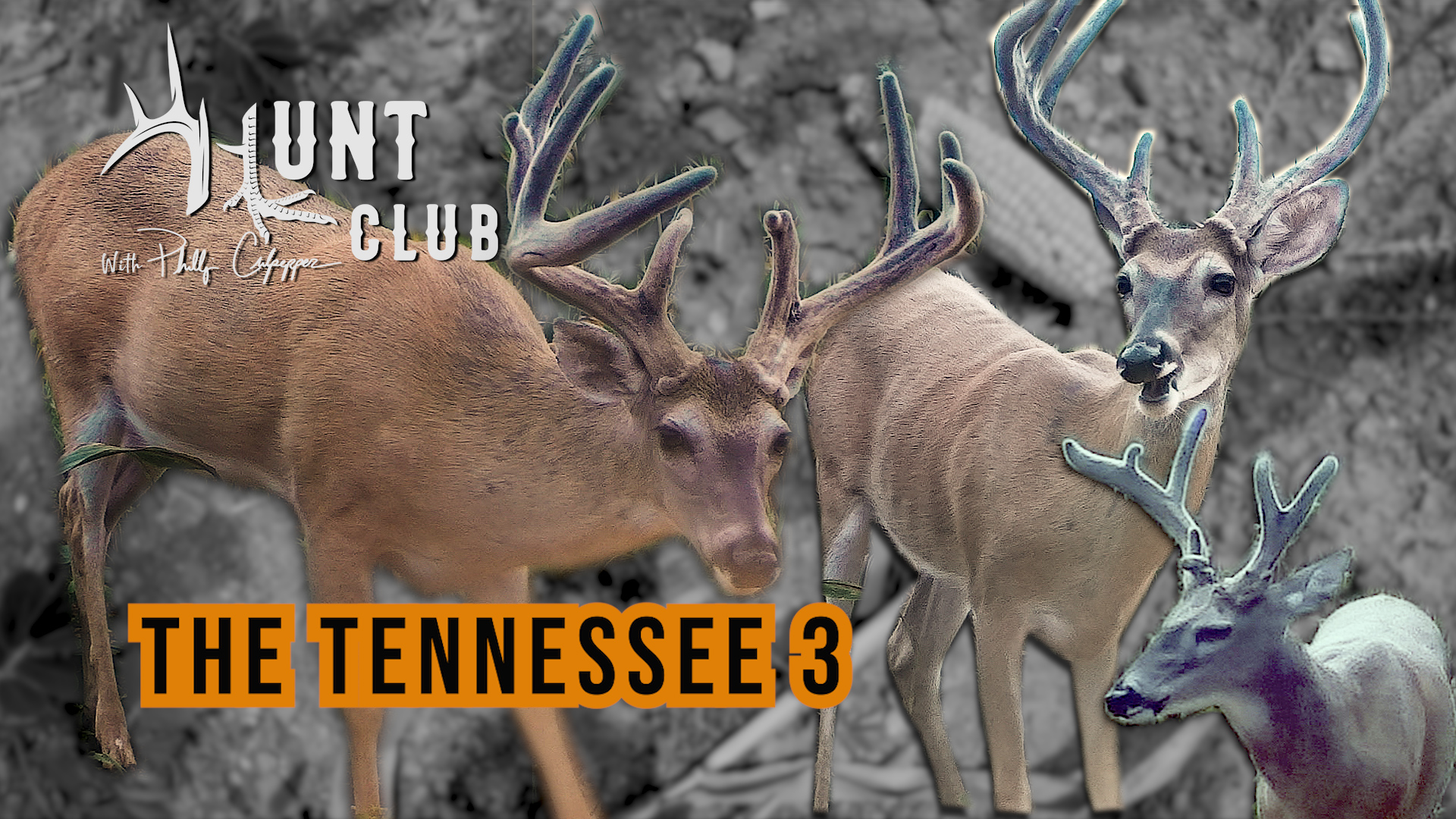 Tennessee Velvet Bucks | Getting Archery Gear Ready for Opening Day | Hunt Club