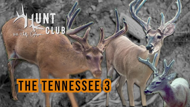 Tennessee Velvet Bucks | Getting Arch...